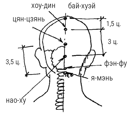 Большой самоучитель исцеляющих точек. Подробный атлас, приемы и упражнения Большой самоучитель исцеляющих точек. Подробный атлас, приемы и упражнения
