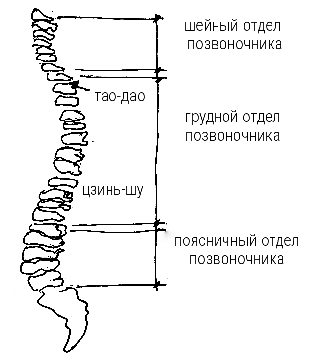 Большой самоучитель исцеляющих точек. Подробный атлас, приемы и упражнения Большой самоучитель исцеляющих точек. Подробный атлас, приемы и упражнения