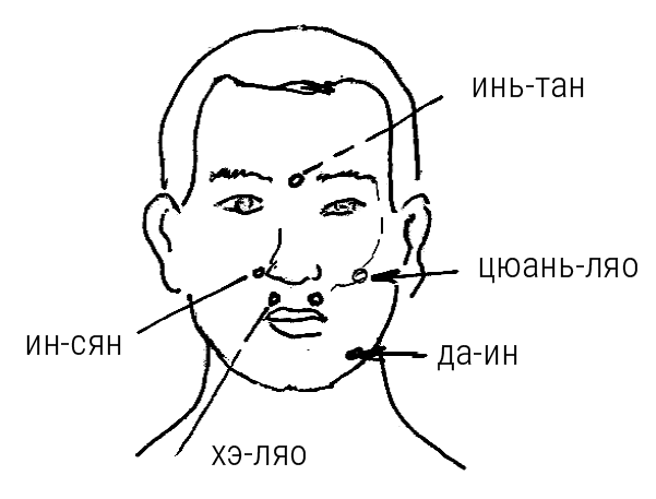 Большой самоучитель исцеляющих точек. Подробный атлас, приемы и упражнения Большой самоучитель исцеляющих точек. Подробный атлас, приемы и упражнения