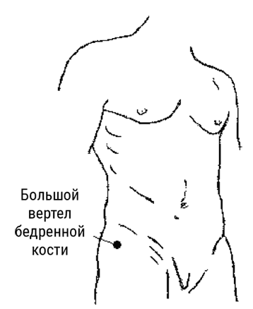Большой самоучитель исцеляющих точек. Подробный атлас, приемы и упражнения Большой самоучитель исцеляющих точек. Подробный атлас, приемы и упражнения