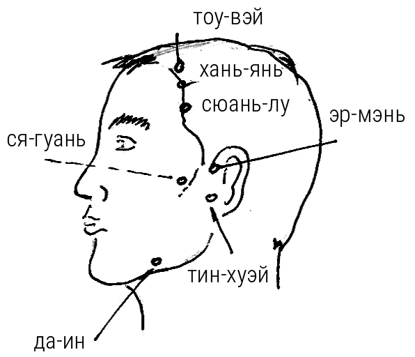 Большой самоучитель исцеляющих точек. Подробный атлас, приемы и упражнения Большой самоучитель исцеляющих точек. Подробный атлас, приемы и упражнения