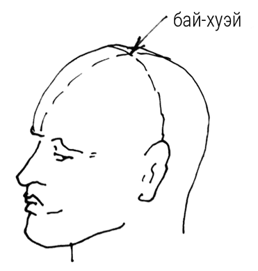 Большой самоучитель исцеляющих точек. Подробный атлас, приемы и упражнения Большой самоучитель исцеляющих точек. Подробный атлас, приемы и упражнения