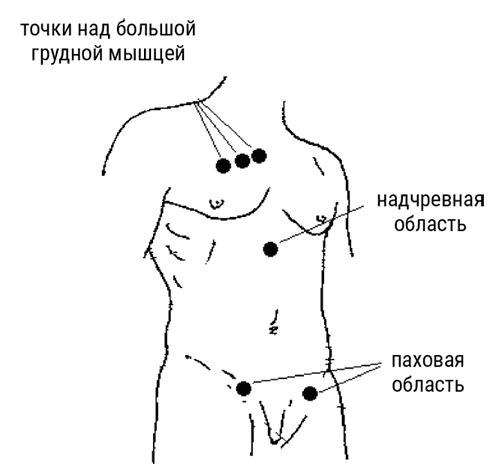 Большой самоучитель исцеляющих точек. Подробный атлас, приемы и упражнения Большой самоучитель исцеляющих точек. Подробный атлас, приемы и упражнения