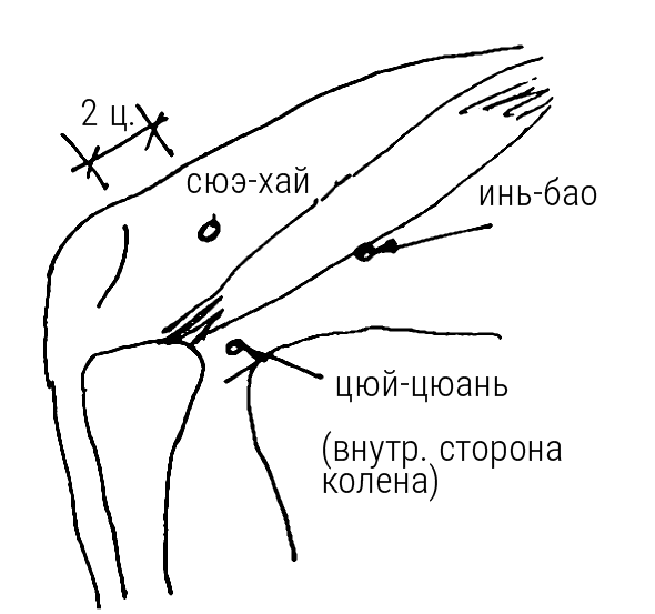 Большой самоучитель исцеляющих точек. Подробный атлас, приемы и упражнения Большой самоучитель исцеляющих точек. Подробный атлас, приемы и упражнения
