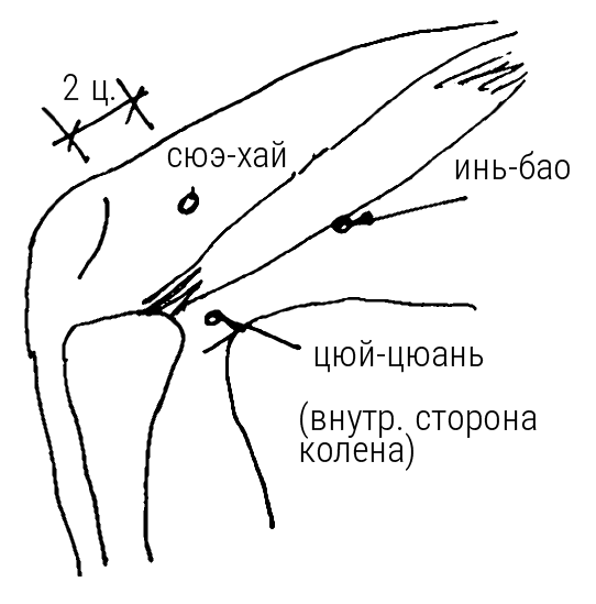 Большой самоучитель исцеляющих точек. Подробный атлас, приемы и упражнения Большой самоучитель исцеляющих точек. Подробный атлас, приемы и упражнения