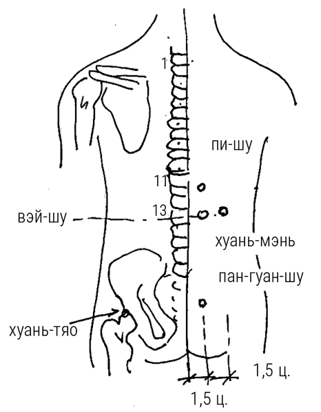 Большой самоучитель исцеляющих точек. Подробный атлас, приемы и упражнения Большой самоучитель исцеляющих точек. Подробный атлас, приемы и упражнения