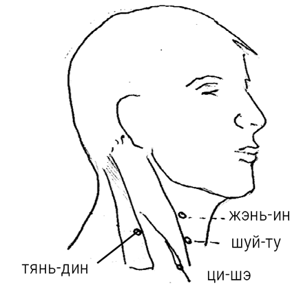 Большой самоучитель исцеляющих точек. Подробный атлас, приемы и упражнения Большой самоучитель исцеляющих точек. Подробный атлас, приемы и упражнения