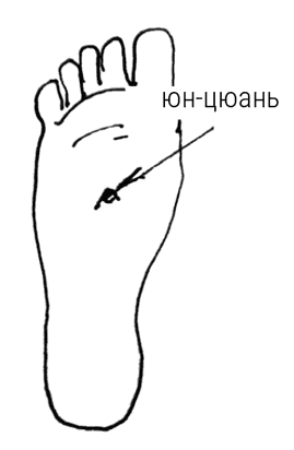 Большой самоучитель исцеляющих точек. Подробный атлас, приемы и упражнения Большой самоучитель исцеляющих точек. Подробный атлас, приемы и упражнения