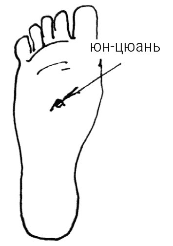 Большой самоучитель исцеляющих точек. Подробный атлас, приемы и упражнения Большой самоучитель исцеляющих точек. Подробный атлас, приемы и упражнения