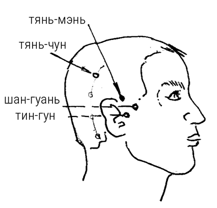 Большой самоучитель исцеляющих точек. Подробный атлас, приемы и упражнения Большой самоучитель исцеляющих точек. Подробный атлас, приемы и упражнения