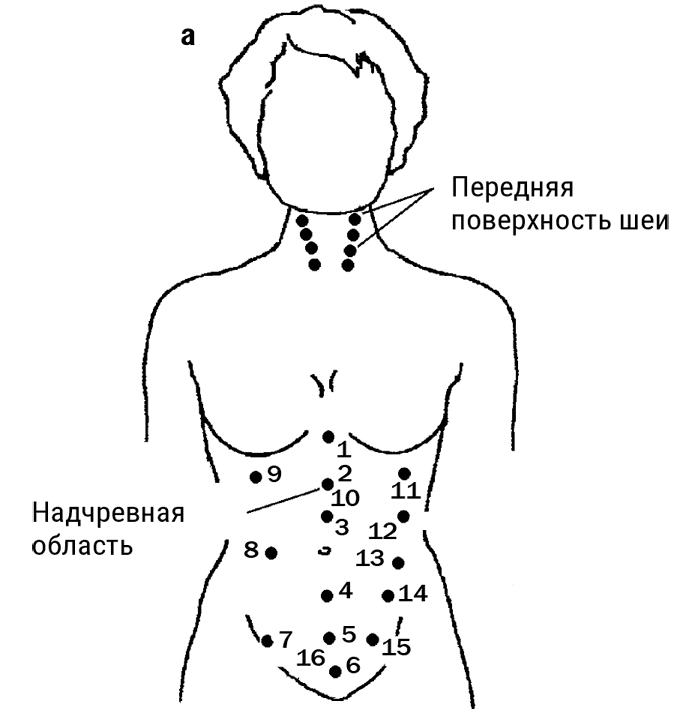 Большой самоучитель исцеляющих точек. Подробный атлас, приемы и упражнения Большой самоучитель исцеляющих точек. Подробный атлас, приемы и упражнения