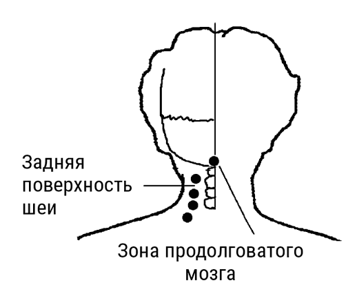 Большой самоучитель исцеляющих точек. Подробный атлас, приемы и упражнения Большой самоучитель исцеляющих точек. Подробный атлас, приемы и упражнения
