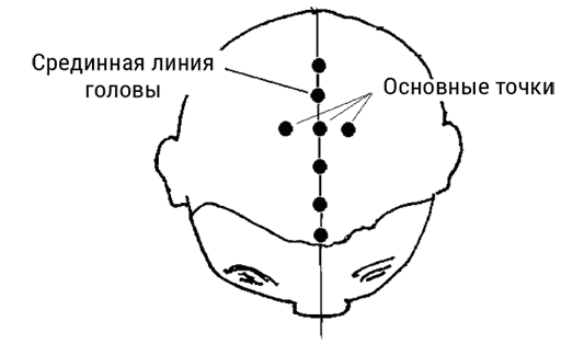 Большой самоучитель исцеляющих точек. Подробный атлас, приемы и упражнения Большой самоучитель исцеляющих точек. Подробный атлас, приемы и упражнения