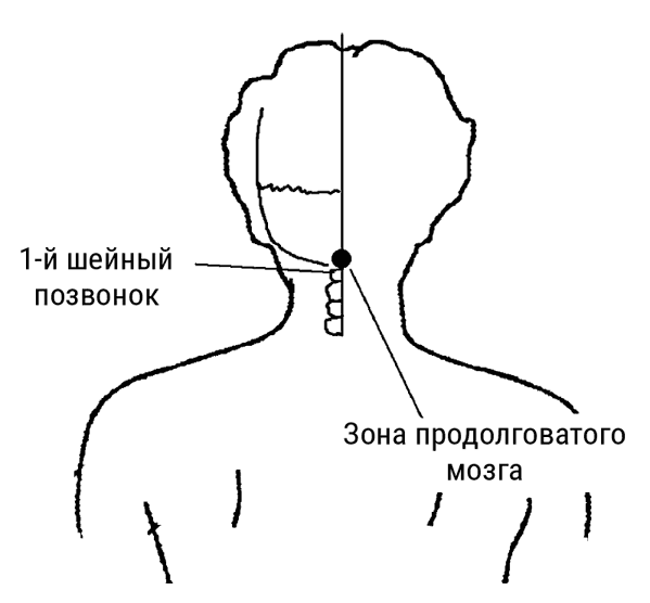Большой самоучитель исцеляющих точек. Подробный атлас, приемы и упражнения Большой самоучитель исцеляющих точек. Подробный атлас, приемы и упражнения