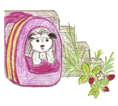Лето на полке Лето на полке