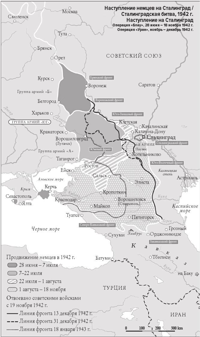 Мобилизованная нация. Германия 1939–1945 Мобилизованная нация. Германия 1939–1945