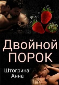 Двойной порок - Анна Штогрина