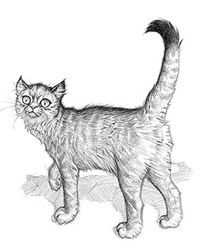 Эликсир жизни Эликсир жизни