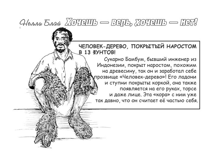 Когда деревья молчат Когда деревья молчат