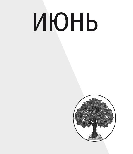 Научные открытия для тех, кто любит краткость