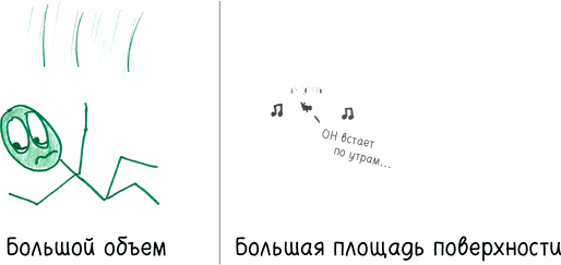 Математика с дурацкими рисунками. Идеи, которые формируют нашу реальность