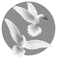 Говорить мирно в мире, полном конфликтов. То, что вы скажете, изменит ваш мир Говорить мирно в мире, полном конфликтов. То, что вы скажете, изменит ваш мир