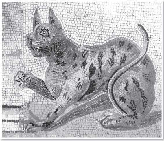 Всемирная история глазами кошек Всемирная история глазами кошек