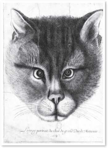 Всемирная история глазами кошек Всемирная история глазами кошек
