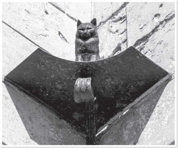 Всемирная история глазами кошек Всемирная история глазами кошек