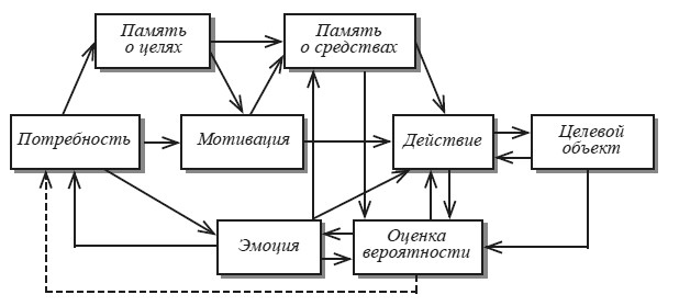 Эмоциональный мозг Эмоциональный мозг