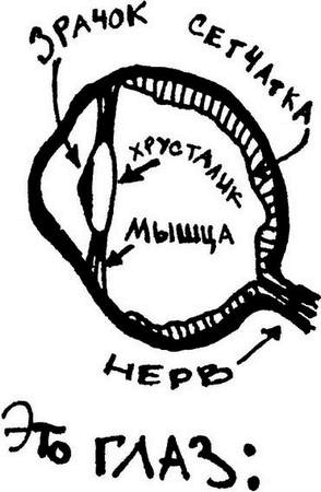 Физика без формул