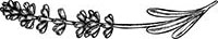 Орлеан Орлеан