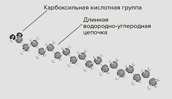 Молодость навсегда. Как замедлить процессы старения и сохранить здоровье Молодость навсегда. Как замедлить процессы старения и сохранить здоровье