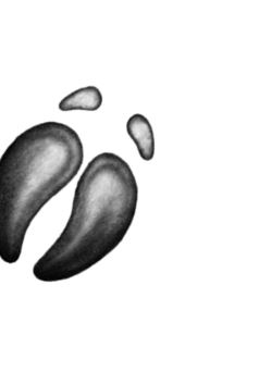 Опасная дружба Опасная дружба