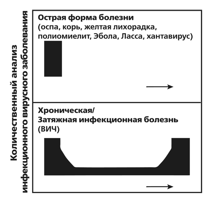 Вирусы и эпидемии в истории мира. Прошлое, настоящее и будущее Вирусы и эпидемии в истории мира. Прошлое, настоящее и будущее