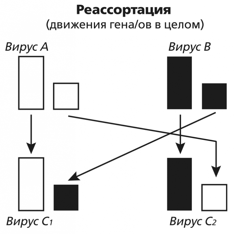 Вирусы и эпидемии в истории мира. Прошлое, настоящее и будущее Вирусы и эпидемии в истории мира. Прошлое, настоящее и будущее