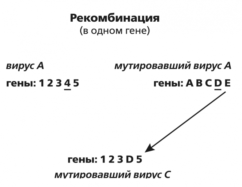 Вирусы и эпидемии в истории мира. Прошлое, настоящее и будущее Вирусы и эпидемии в истории мира. Прошлое, настоящее и будущее