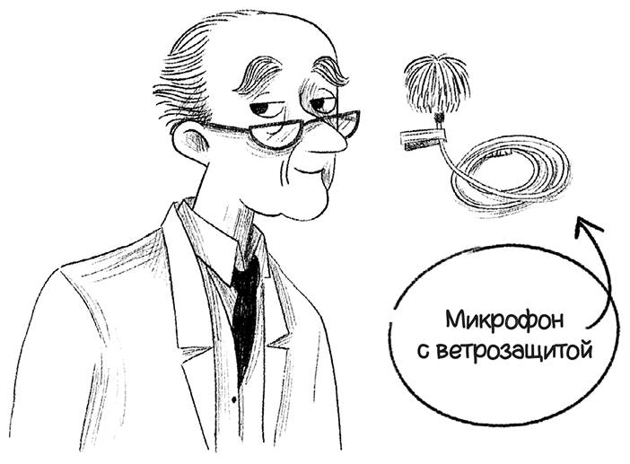 Ограбление в «Шотландском соколе»
