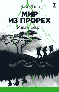 Мир из прорех. Иные земли - Яна Летт