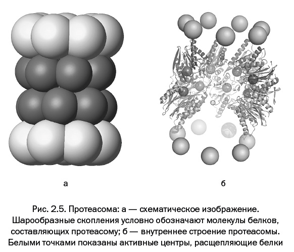Лаборатория химических историй. От электрона до молекулярных машин