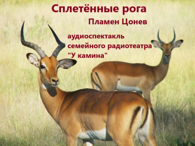 Цонев Пламен - Сплетённые рога