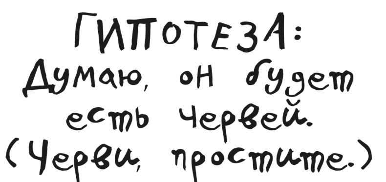 Драконы и зефирки Драконы и зефирки