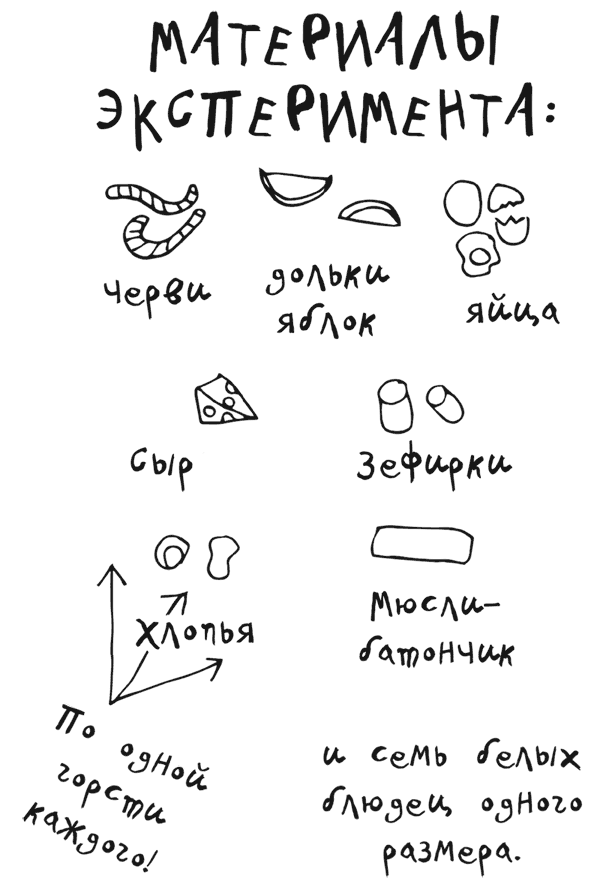 Драконы и зефирки Драконы и зефирки