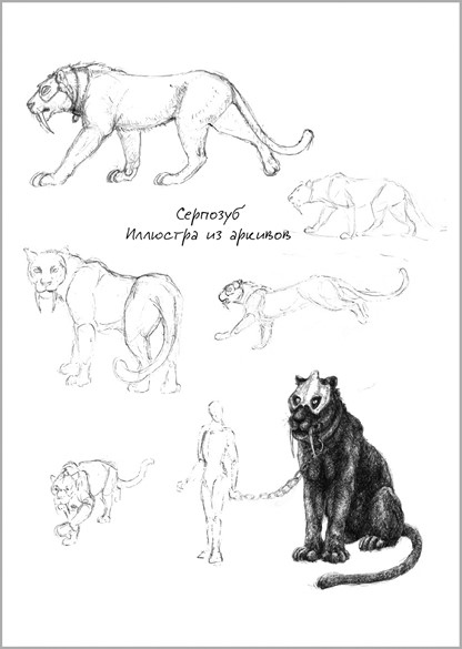 Беззвездный Венец Беззвездный Венец