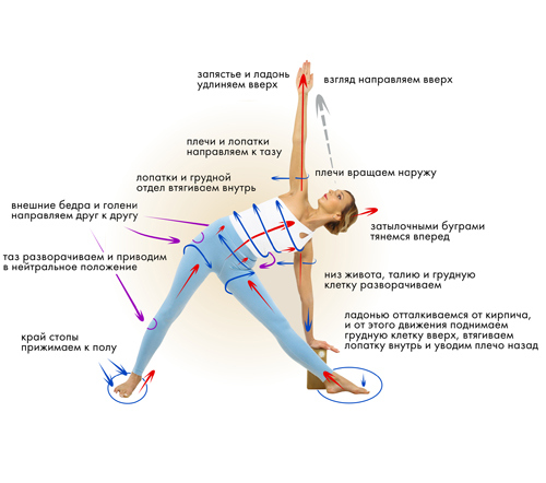 Йога. Современное руководство по решению проблем