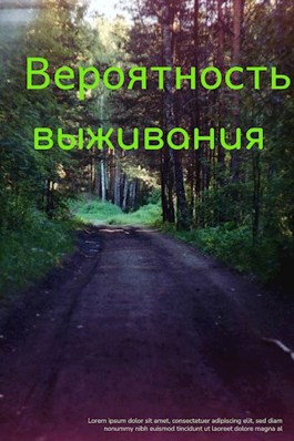 Вероятность выживания - Вячеслав Ануфриев