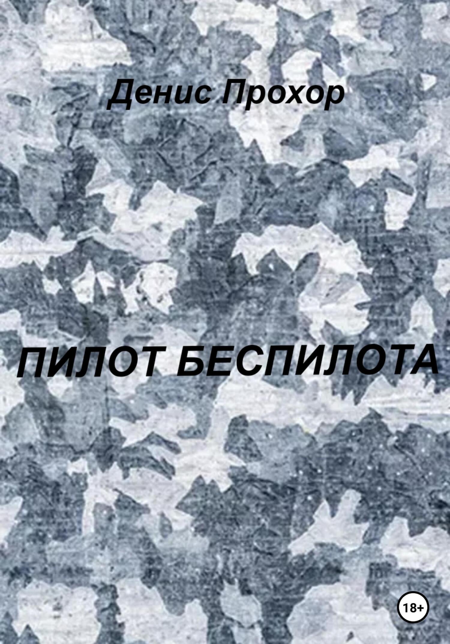 Пилот беспилота - Денис Викторович Прохор