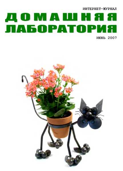 Интернет-журнал "Домашняя лаборатория", 2007 №6 - Вязовский