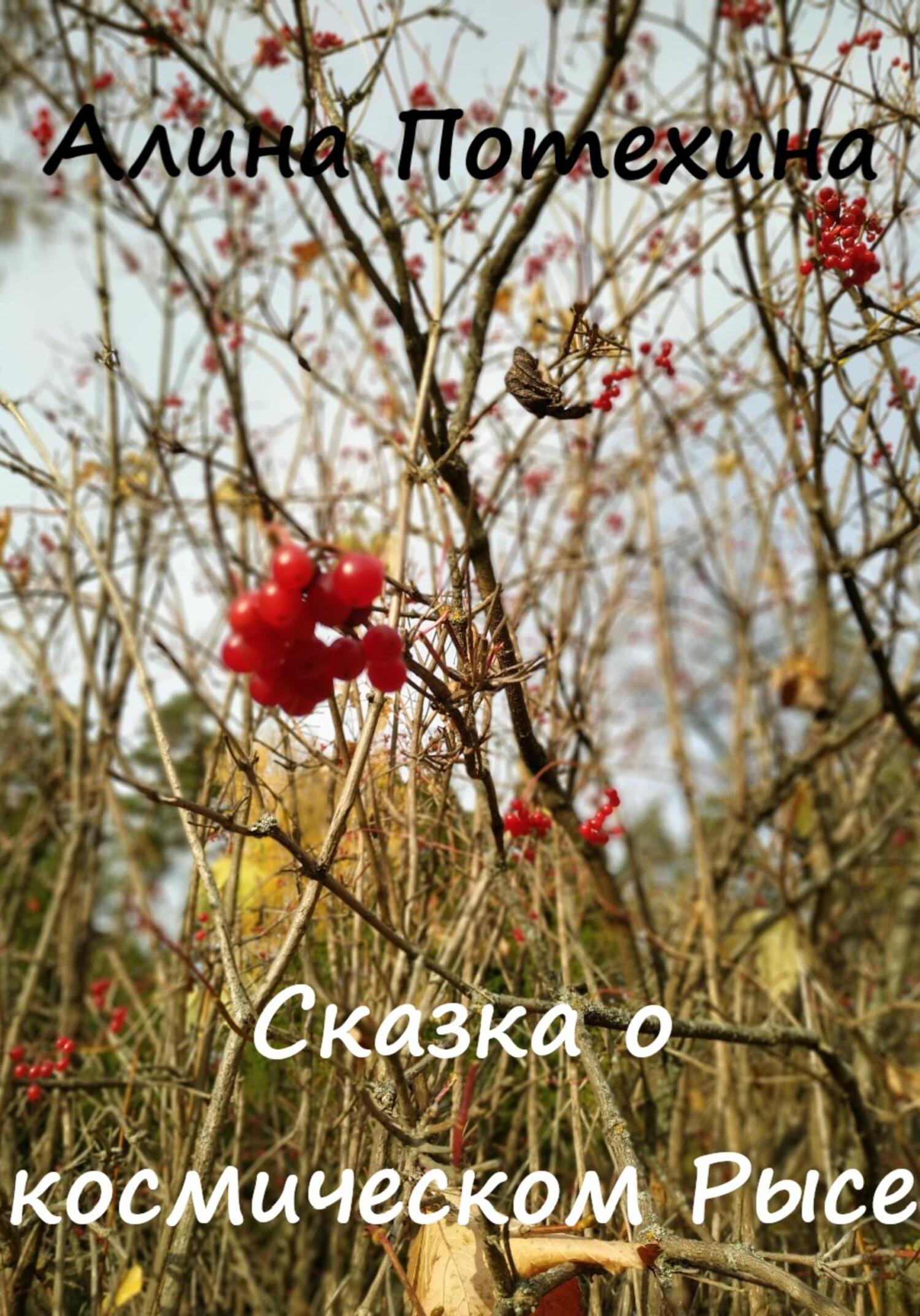 Сказка о космическом Рысе - Алина Потехина