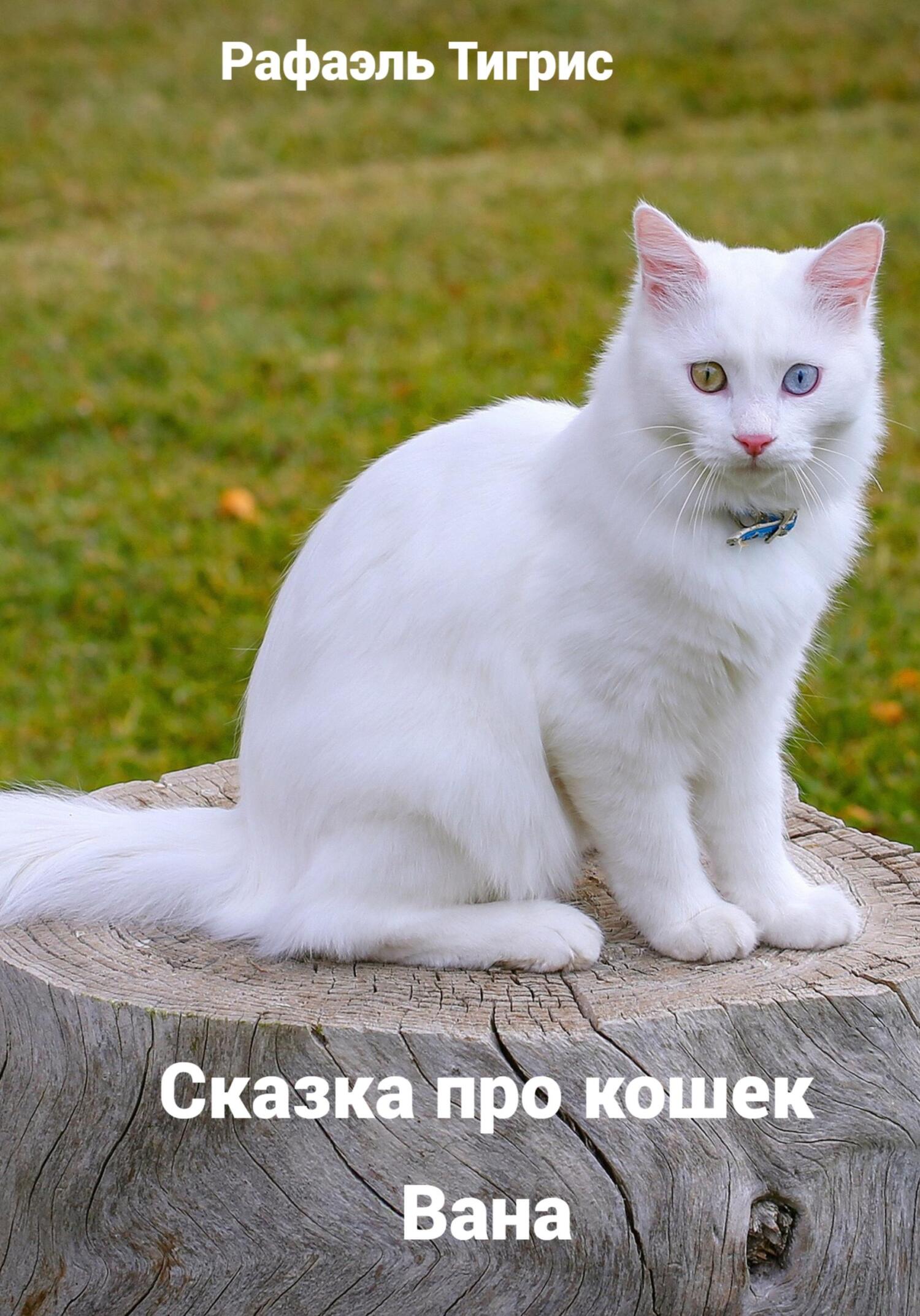 Сказка про кошек Вана - Тигрис Рафаэль